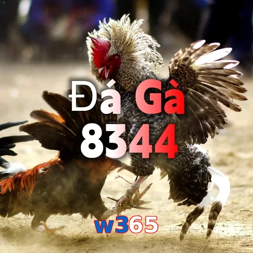 w365