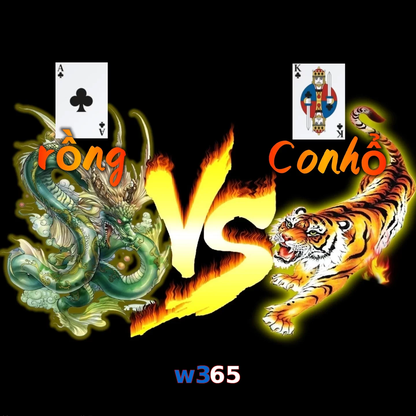 w365